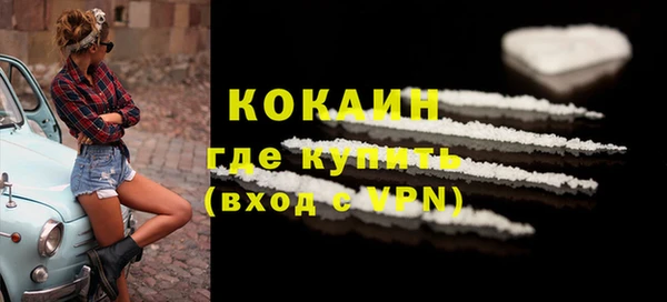 крисы Абаза
