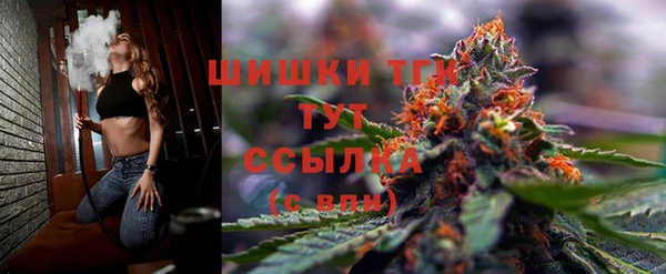 крисы Абаза