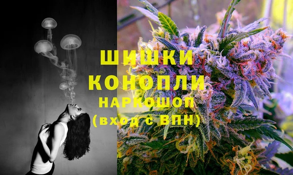 крисы Абаза