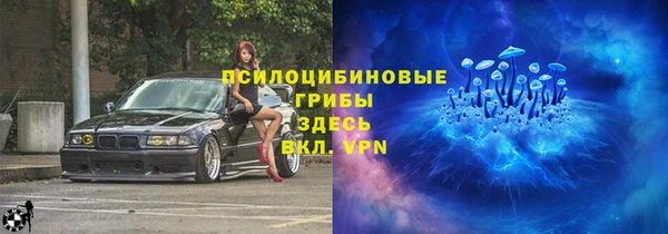 бошки Абинск