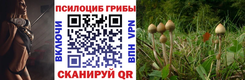 Галлюциногенные грибы Cubensis Южа